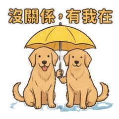 黃金亮亮來了!陪伴你的每一天