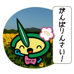 Yasaka's Yappy Yasaka Dialect Version