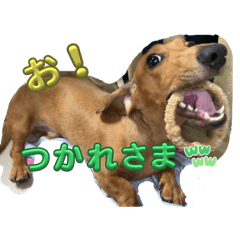 jessica_20251218142921