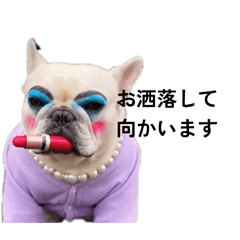 makeUP DOG