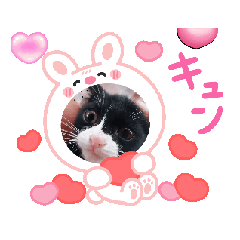 wakana_20251218161910