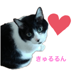 Miyako_20251218204326