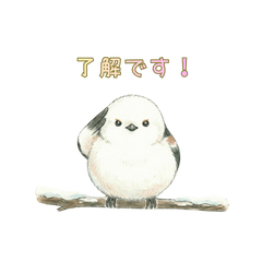 大人かわいい♡シマエナガ【日常】 - LINE スタンプ | LINE STORE