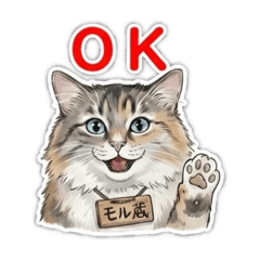 Angela_20251218182019