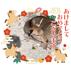 TAKUMI_20251218182118