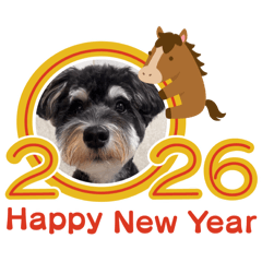 Ponchi_20251218182721