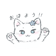 SumiRe_20251218191615