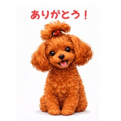 Cute Polite Poodle Stickers