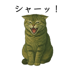 ikamimi_20251218213347