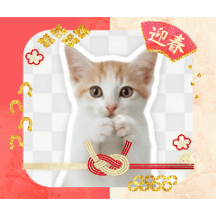 yuyuli_20251218214450