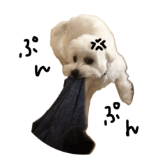 MOCHIKO_20251218214815