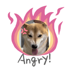 安安寶貝的生活日常