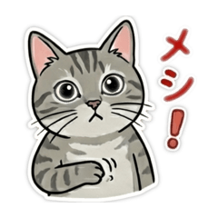 Angela_20251218185726