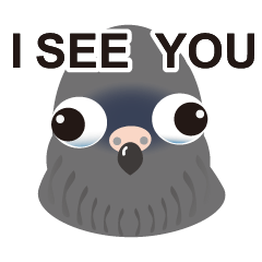 鴿鴿搞事-高清英文版