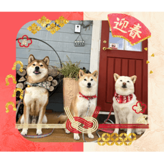 pearl_20251218212323