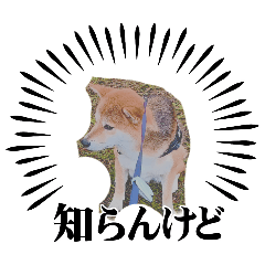 MAKINO_20251218235724