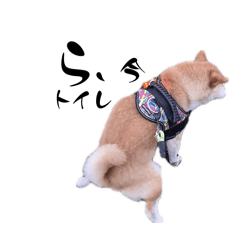 Saori_20251218221035