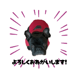 tommy_20251218231338