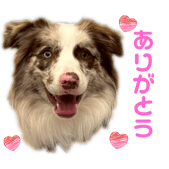 hirona_chibita_20251218231148