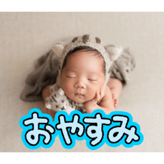 toranosuke_20251219021513