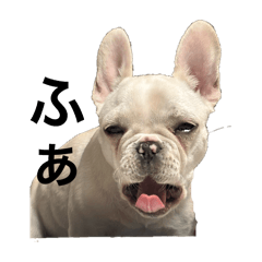 DARUMA_20251218205023