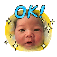 miporin_20251218205156