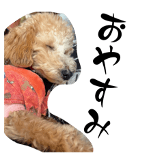 mayupon_20251219004929