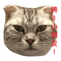 這是一隻挑食的林胡迪