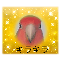 sacchi_20251218215141