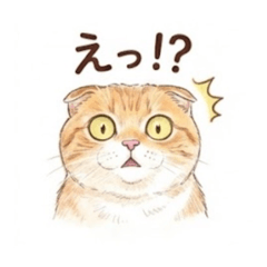 yossy.n_20251218215701