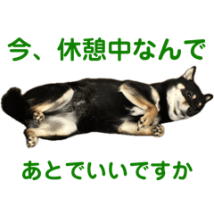 MAMEJIRO_20251218220457