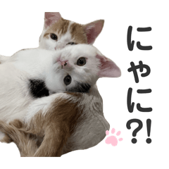 tomoe_20251218223431