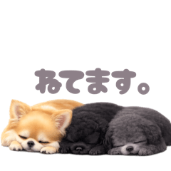 masae_20251218233756