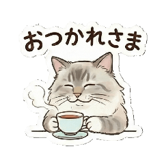 koko-kossan