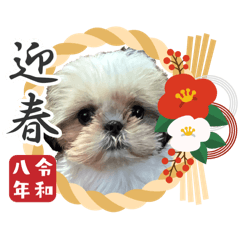 tatsu8_20251219082023