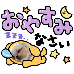 tatsu8_20251219082454