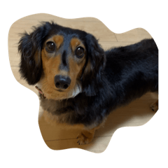 nagisa_20251219084405