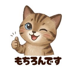 Bon janjan_20251219092402