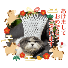 ryoukun_20251219115827