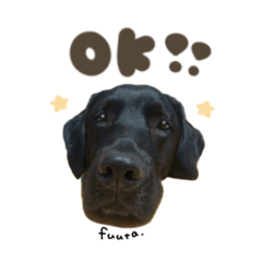 uchinoko_honpo._20251219120529