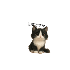 sannbe_20251219121402