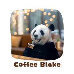 mochi_20251217142048