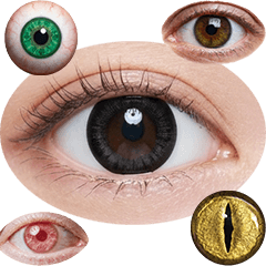 眼球・眼睛 實拍