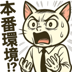 SE (System Engineer) Troubleshoot