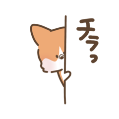 telto_20251219010540