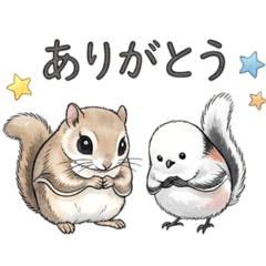 momonga&shimaenaga