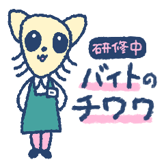 Chihuahua's work in traning