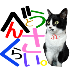 maru.m_20251219005107