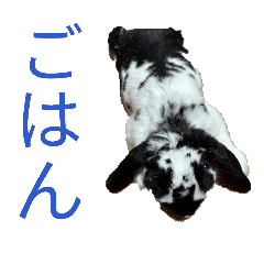 tututu_20251219092207