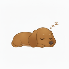 PET miniature dachshund